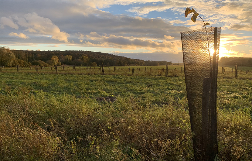 Nature 2050 - Ferme des Clos, 2021 © Vincent Lagrue