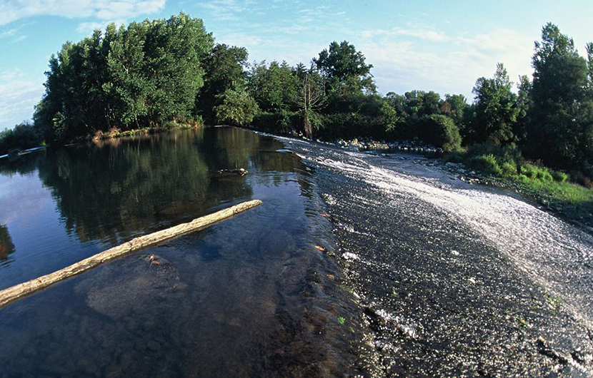 Nature 2050 - Gave de Pau © Institution Adour