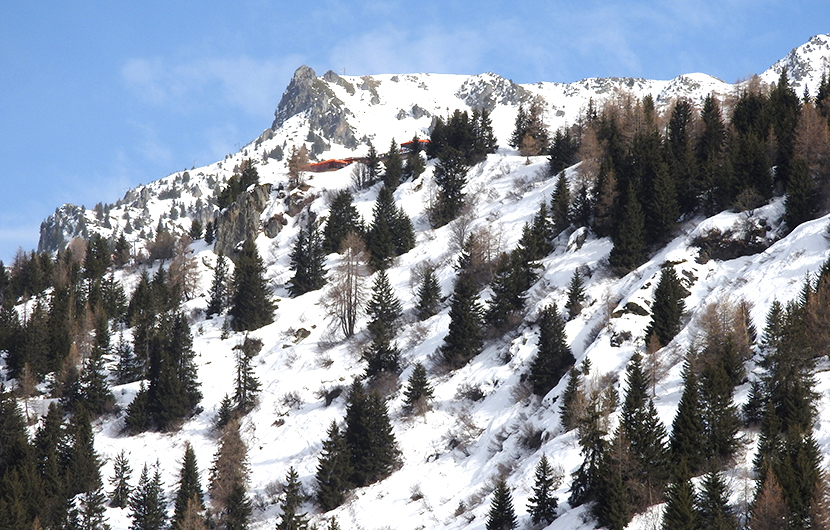 Vue d’en bas de l’Arpette, principale zone de plantation © Parc National de la Vanoise