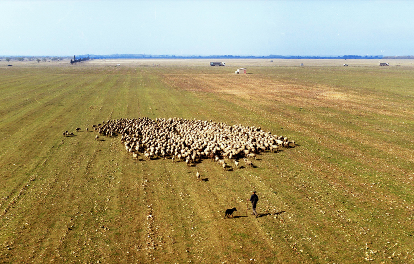 CDC BIODIVERSITE - Réalisations - Site de Cossure - 2 © P Fabre