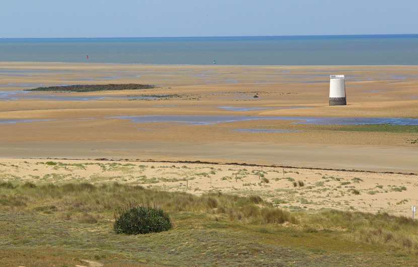 Dunes du Pays de Monts_Plage_fromentine_(c) Cdc Océan Marais de Monts