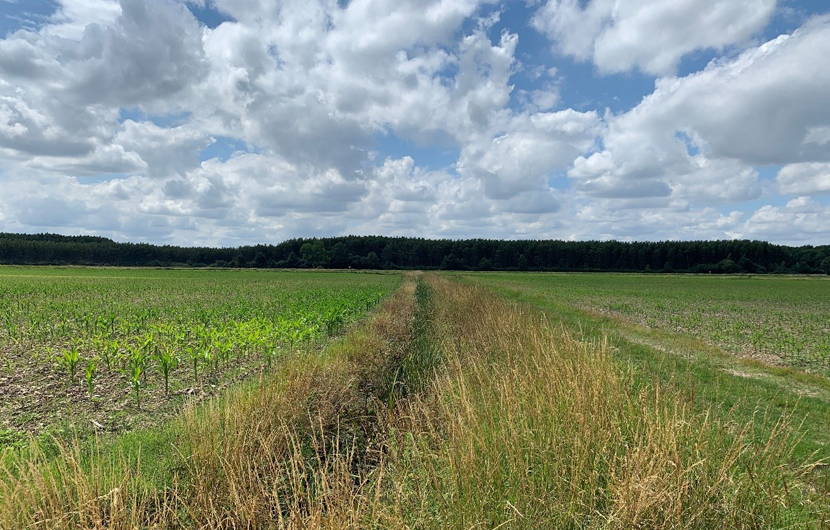 Ferme de la Granja – avant travaux © Martin d’Archimbaud