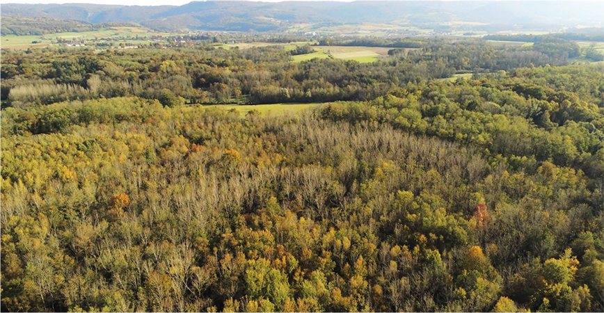 Projet Bois Magnin - Vue aérienne du site avant travaux (c) Camille Paillier 