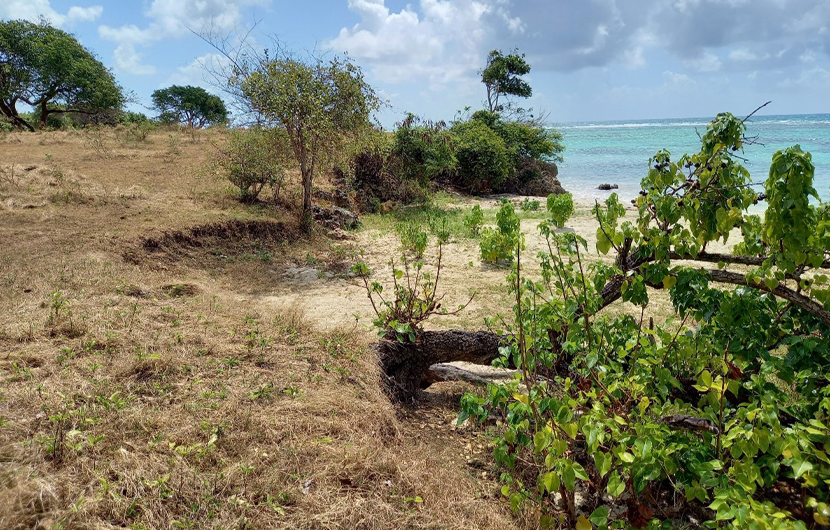 Zone Ouest (avant travaux) – érosion du talus © Ville de Sainte Anne