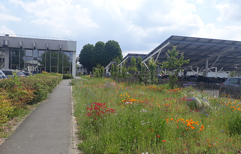 CPB - Parc d'affaires de Rungis © CDC Biodiversité