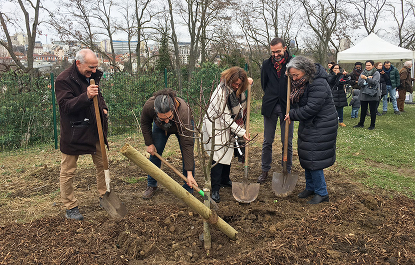 Inauguration du premier site de vergers urbains partagés à Arcueil ©Métropole du Grand Paris