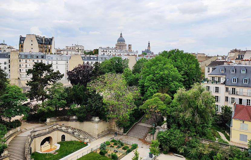 Végétation à Paris - Biodiversité en ville ©ISJU-CDC Biodiversité