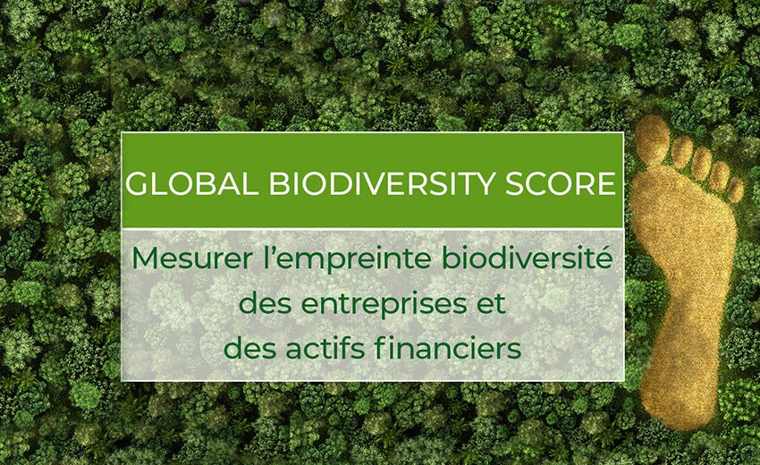 Webinaire | Présentation du Global Biodiversity Score (GBS)