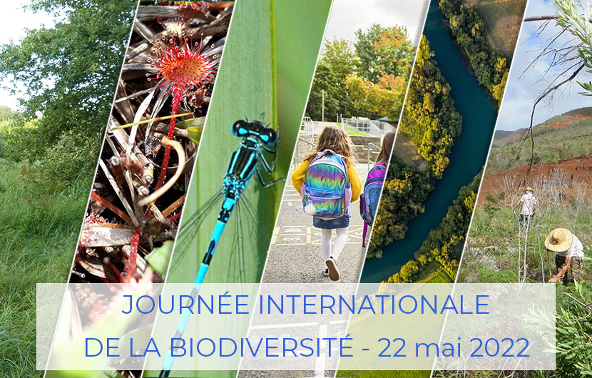 Journée internationale de la biodiversité 2022