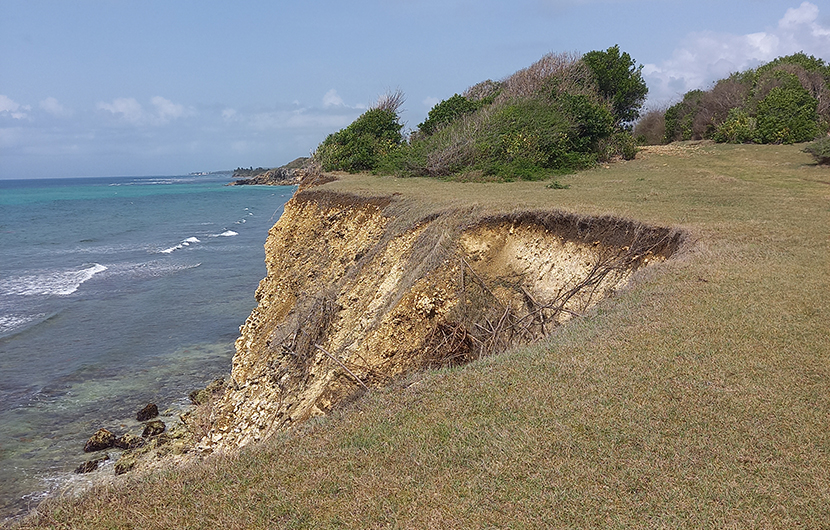 [zone 3 - érosion falaise P4.jpg] L’érosion d’une falaise de Sainte-Anne en Guadeloupe © Ville de Sainte-Anne 