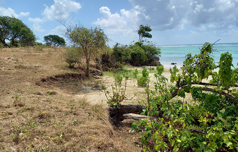 Littoral guadeloupéen face à l'érosion, 2021 © Ville de Sainte-Anne