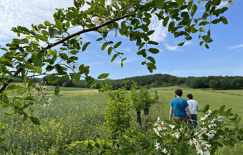 Ferme des Buis, Haies plantées en intra-parcellaires, 2022 ©CDC Biodiversité (2)