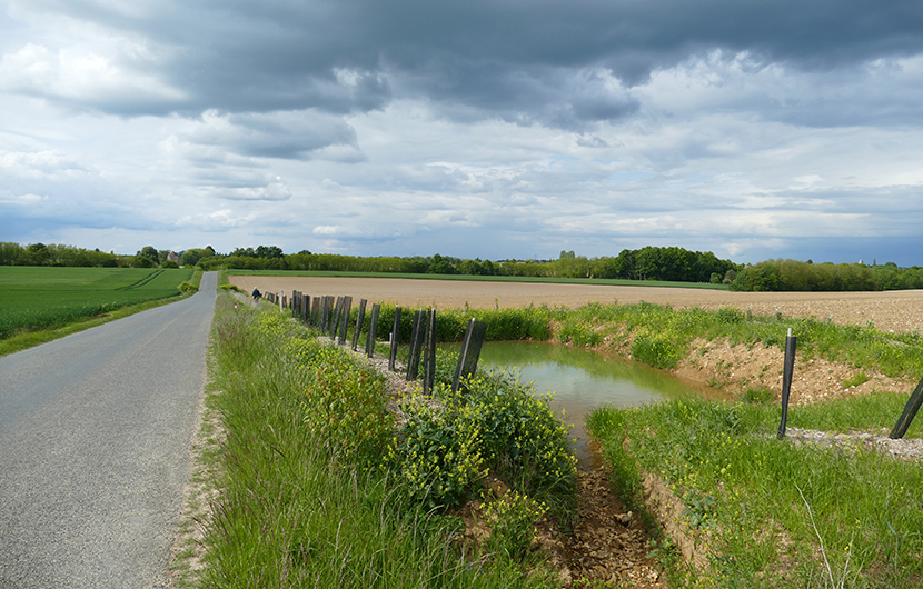 Nature 2050 - Corridor de biodiversité en Bourgogne ©Cedric Cousinier