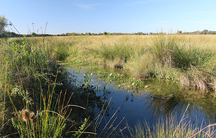 Nature 2050 - Domaine du Possible ©SAALTUS