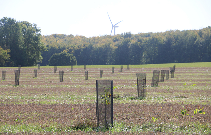 Nature 2050 - Ferme du Temple ©Saaltus