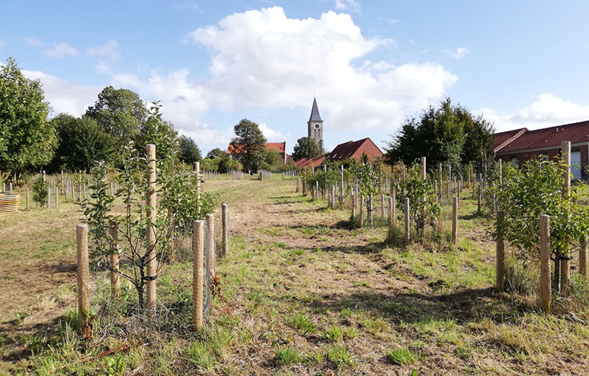 Nature 2050 - Pré verger Bugnicourt ©Habitat du Nord