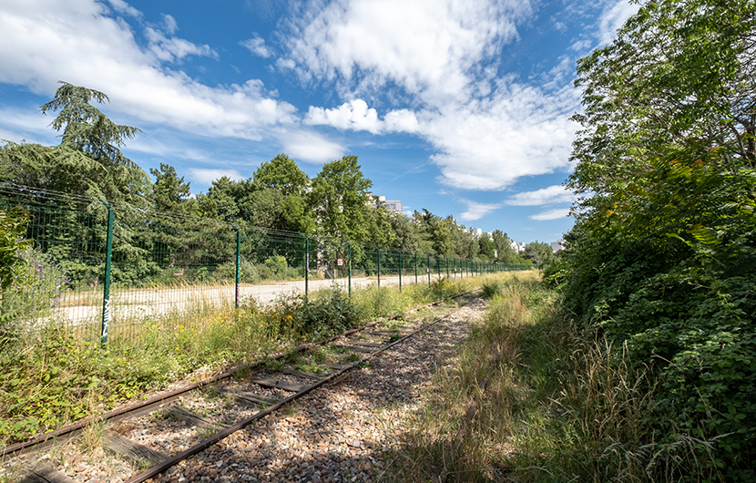 Forêt urbaine de Charonne, avant travaux, 2022 © Paris 20e