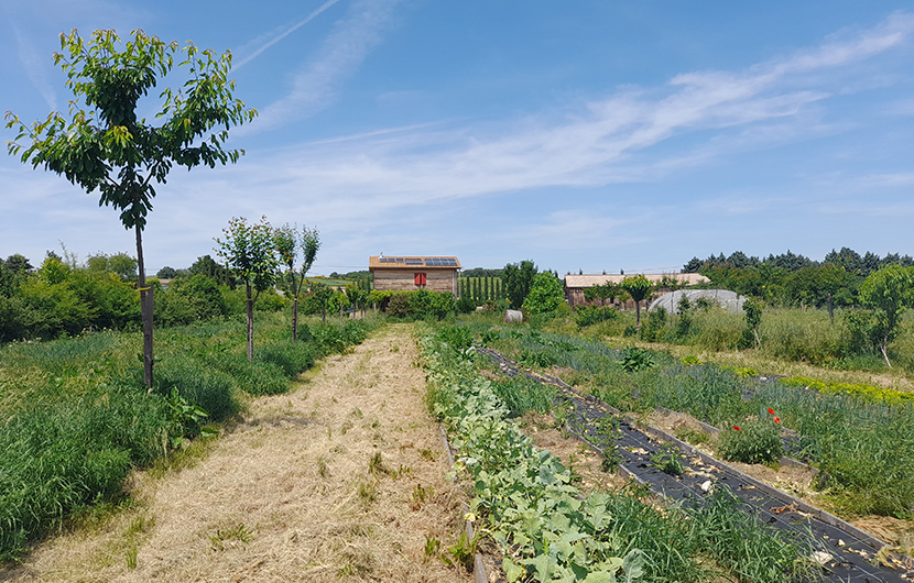 Nature 2050 - 3 Fermes - Verger fruitier et maraîchage de Valéry Martineau, 2022 © CDC Biodiversité