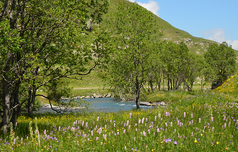 Nature 2050 - Tourbière Plan de l'Eau ©CENSavoie