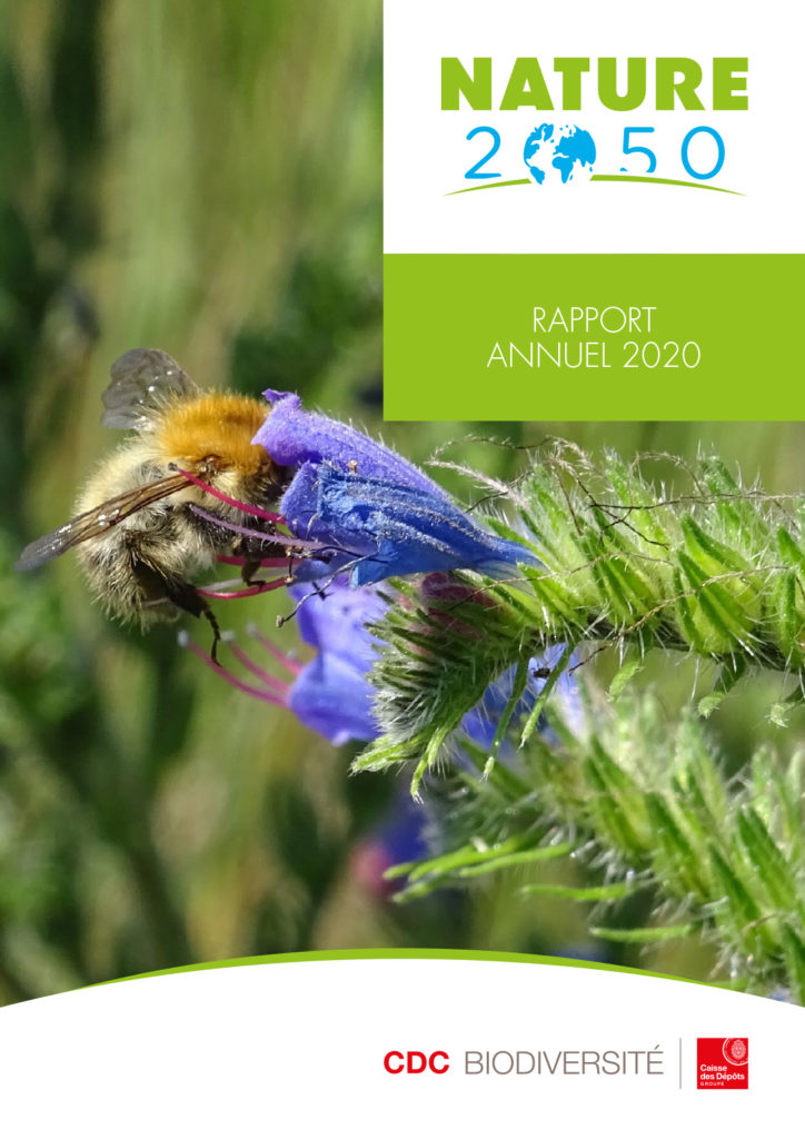 NATURE-2050-RAPPORT-ANNUEL-2020