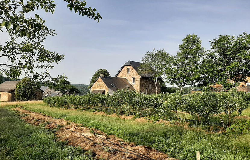 Vergers de Raulhac, Verger de petits fruits, juin 2022 © CDC Biodiversité