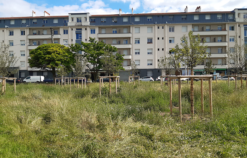 Parc Marcel Cachin © Plaine Commune