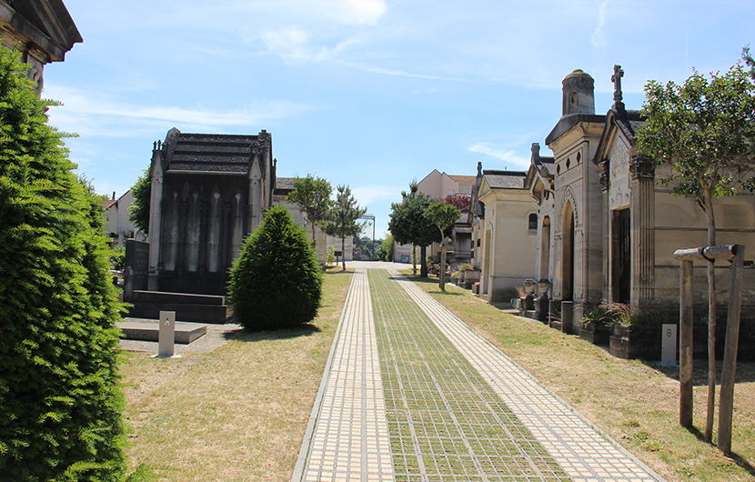 Cimetière Meudon - 2022 Cimetière Meudon - 2022