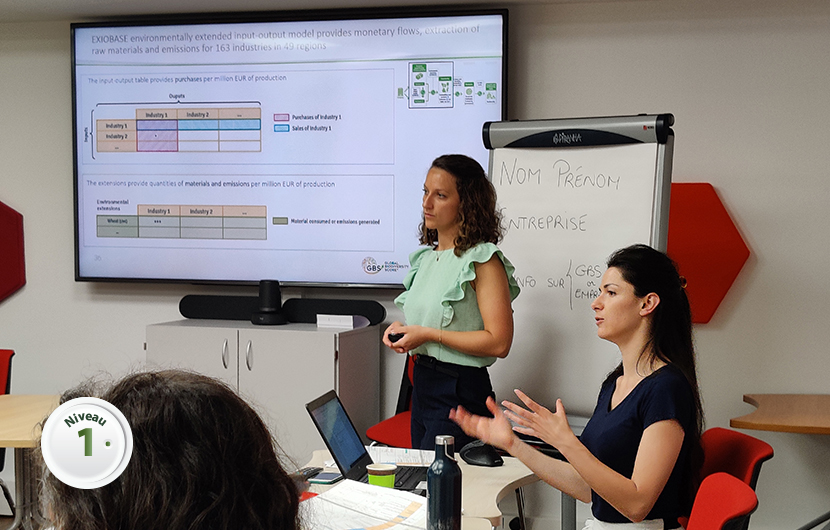 Formation-GBS-Niveau-1 copie