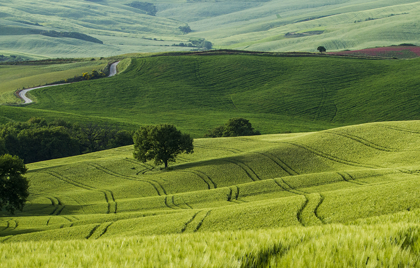 Bocage du Pays de Pouzauges, Vue aérienne GAEC Les Rocs, 2021 © Antoine Biteau