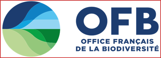 OFB