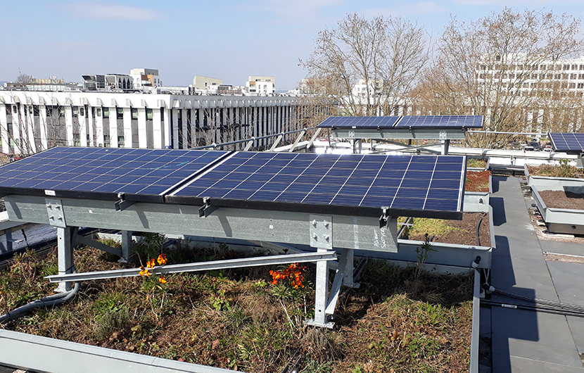 Toiture verte et solaire - Nature en ville ©CDC Biodiversité