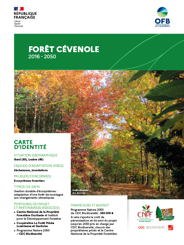 2_Fiche REX_Forêt Cévenole-1