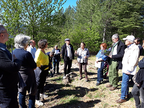 De gauche à droite : Agnès Langevine, 3e vice-présidente de la Région Occitanie en charge de la Transition écologique et énergétique, de la Biodiversité, de l’Économie circulaire et des Déchets ; Marc Abadie, Président de CDC Biodiversité ; Jeannine Bourrely, 1ère Vice-présidente du CRPF d’Occitanie ; Véronique Vinet, Présidente de l’ARB d’Occitanie ; Charles Dereix, Président de Forêt Méditerranéenne