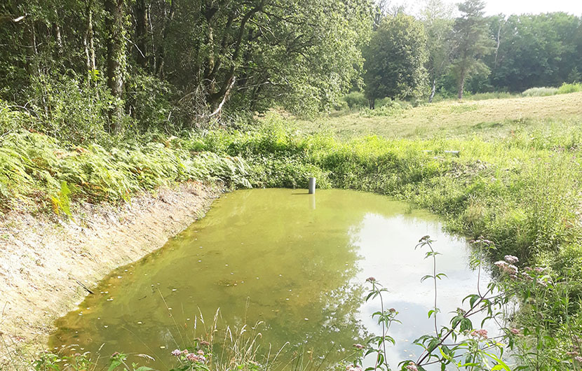 Etangs du Limousin, 2018 