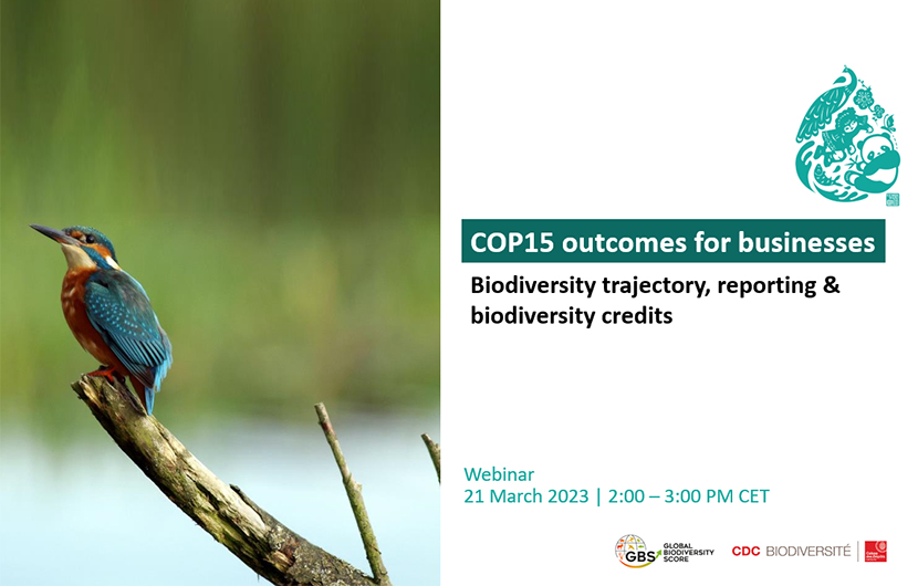 Webinar | COP15 outcomes for businesses: biodiversity trajectory, reporting & biodiversity credits