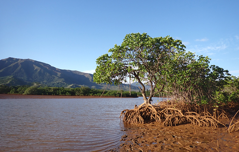 53. Baie de Morari (c) Conservation International