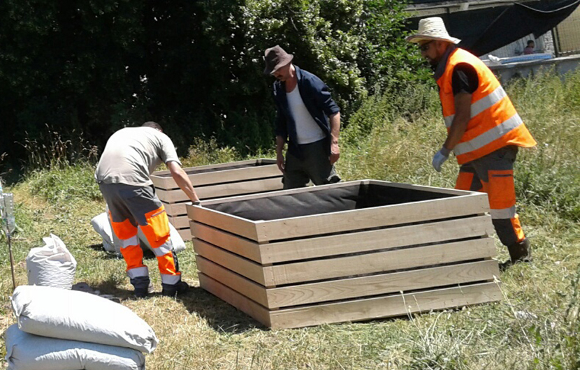 Carrefour de biodiversité au parc Marcel Cachin © Julia Baumaire