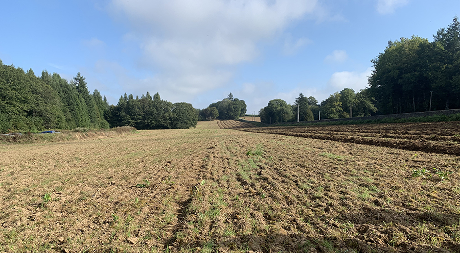 Nature 2050 – Massif de Bothané – Site avant travaux de boisement © CDC Biodiversité