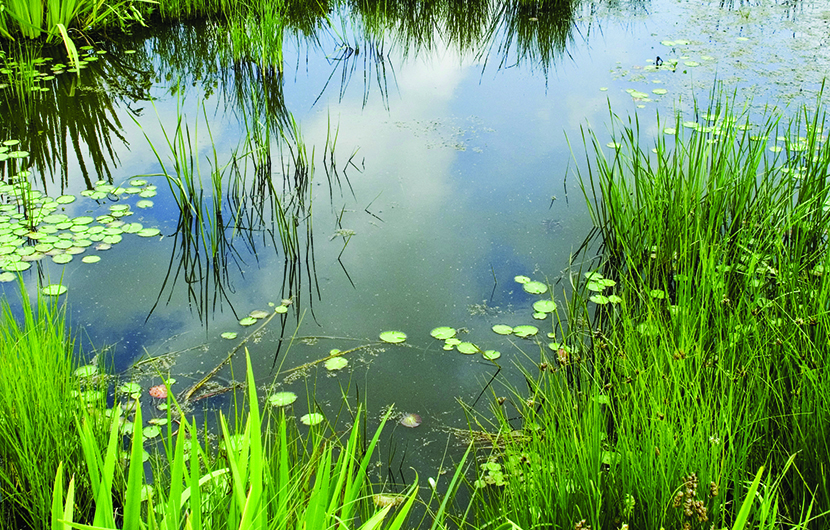 Synthèse de la plateforme d’échange organisée par la Mission Économie de la Biodiversité de la Caisse des Dépôts le 18 juin 2014