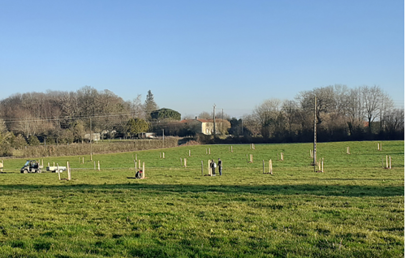 Etangs du Limousin, 2018 