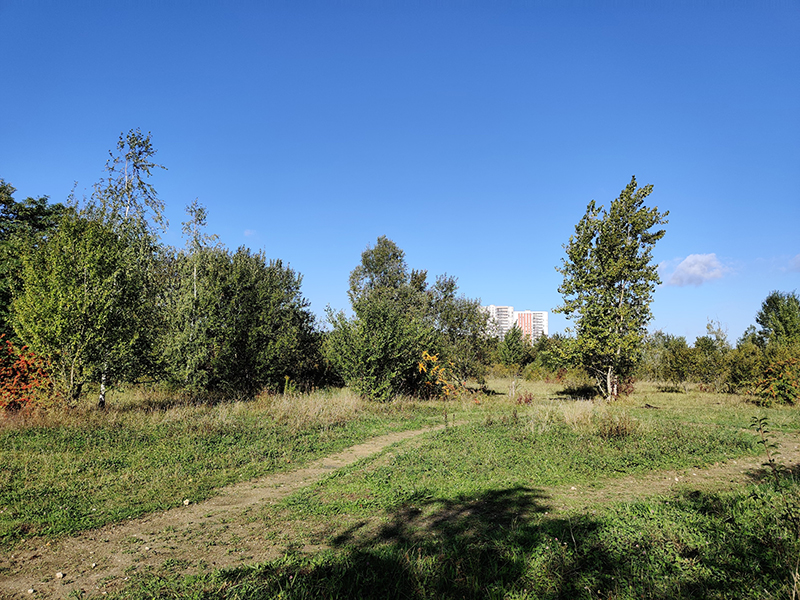 Vue sur la ville de Sevran depuis la Friche Kodak © CDC Biodiversité