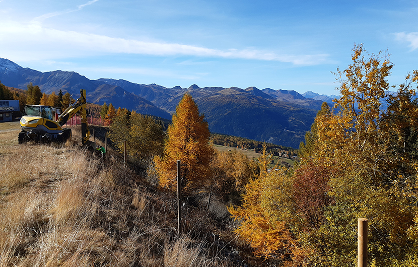 Installation des poteaux permettant la pose de banderoles pour limiter l'accès à la plantation © Parc National de la Vanoise