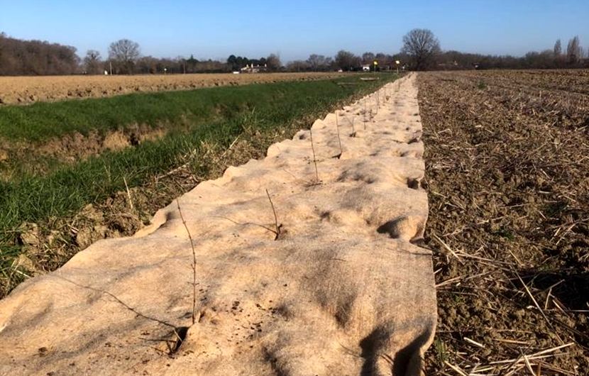 Plantations de haies - 2023 ©Martin d'Archimbaud