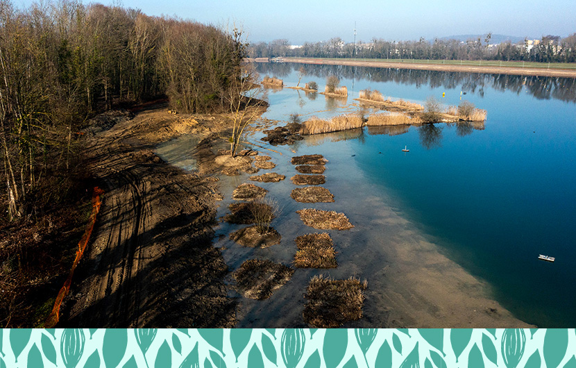 AGCE - Berges du lac de Vaires-sur-Marnes ©CDC Biodiversité