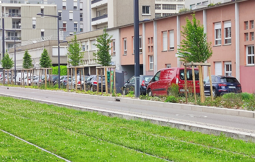 Végétalisation du mail central de l’Axe Lesdiguières © Grenoble Alpes Métropole