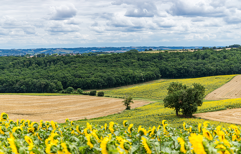 AgriBEST® - développement technique d’un module consacré aux services écosystémiques