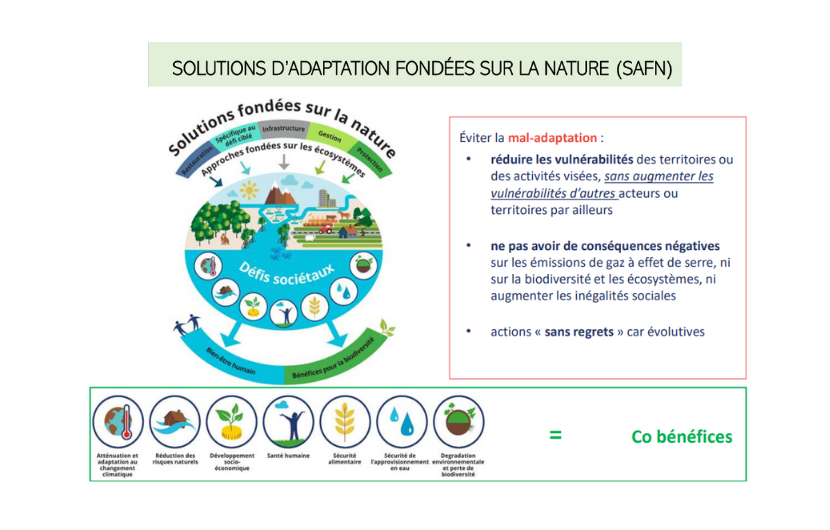 Intervention de Renaud Garbé « Compensation écologique et les enjeux de son anticipation et sa mise en œuvre dans le cadre des autorisations environnementales. ».