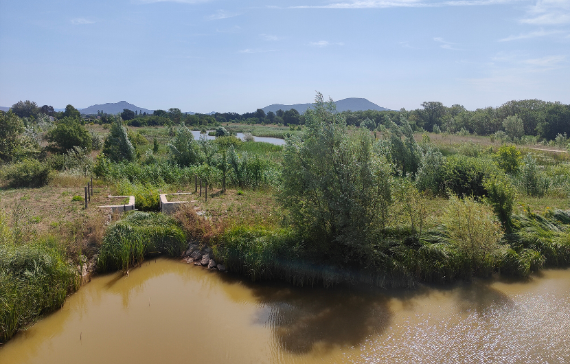 A quelques kilomètres de Toulon, le plan de la Garde a retrouvé sa fonction de zone d’expansion de crue et accueille une biodiversité méditerranéenne riche caractéristique des milieux humides. Des aménagements pédagogiques permettent de sensibiliser les résidents aux multiples services rendus par la nature. 