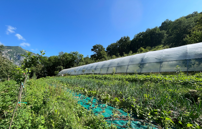 Maraîchage, Ferme du Sarrat © CDC Biodiversité