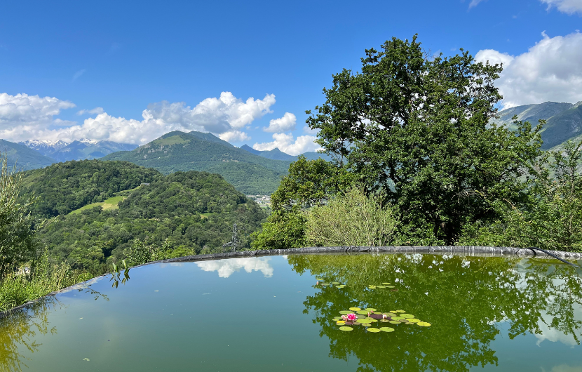 Bassin de rétention © CDC Biodiversité